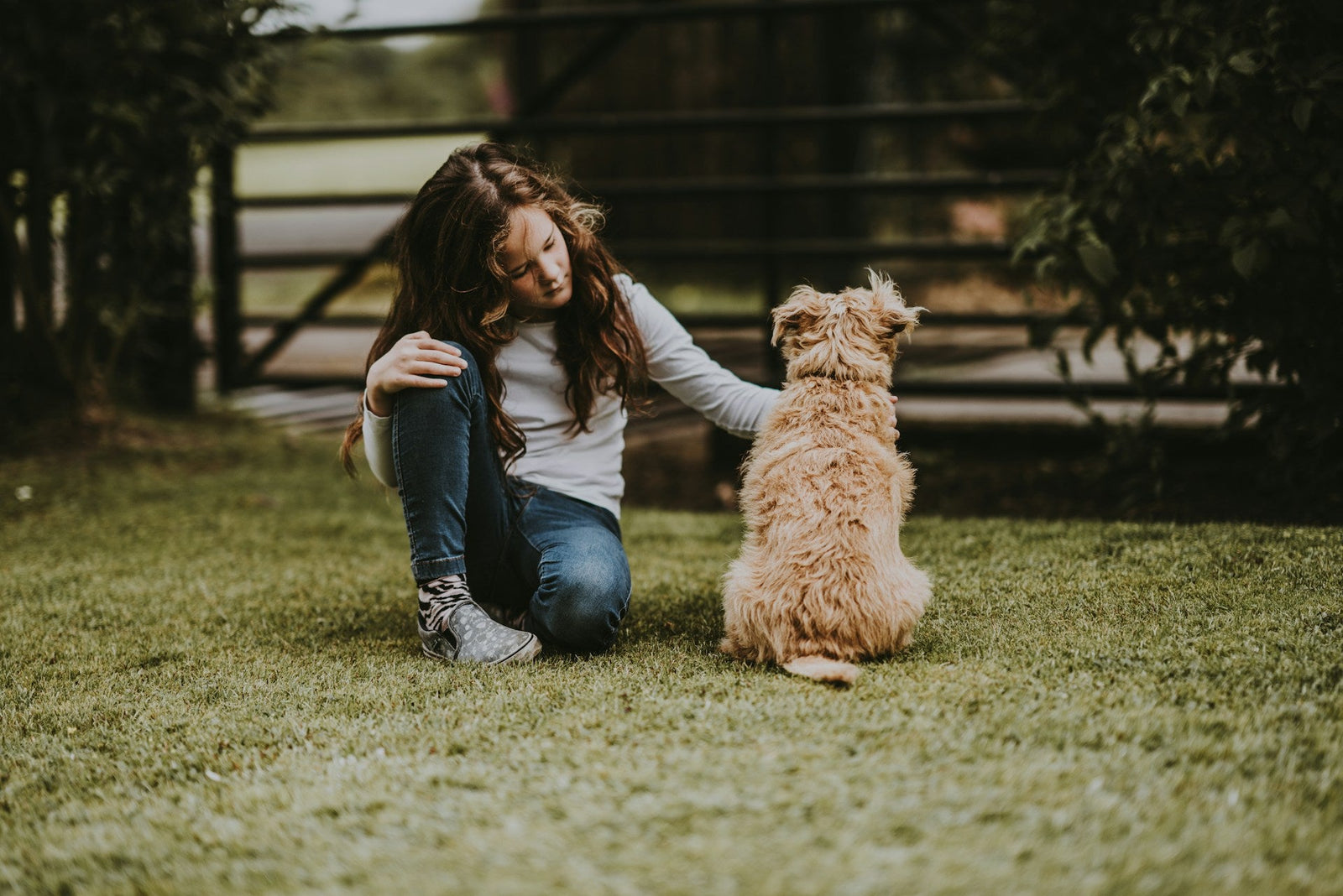 photo of a young girl with long brown hair sitting in grass while petting a small sand colored dog