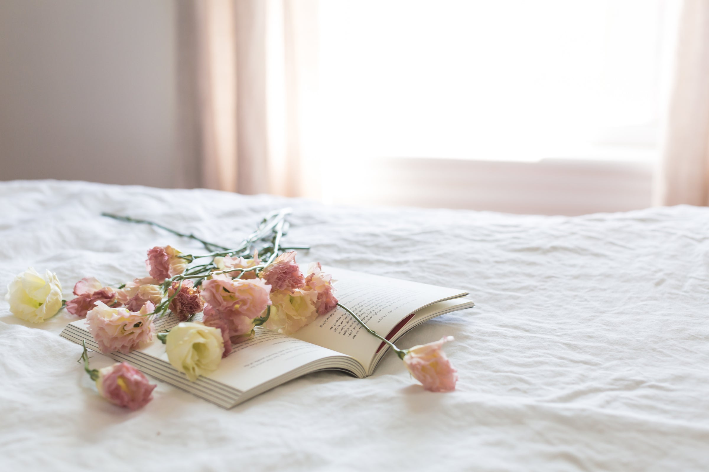 photo of white and pink flowers laid on an open book on a white bed with a window in the background