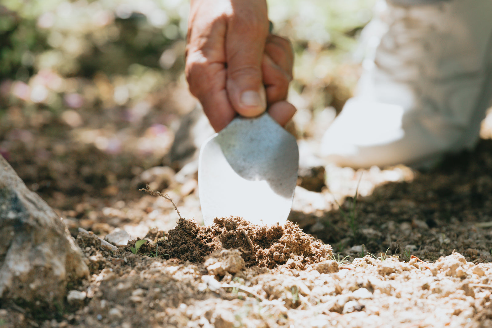 photo of a hand holding a small gardening shovel digging into dirt